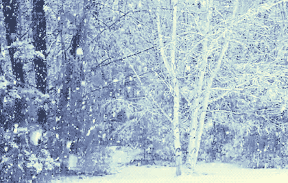 b8b5631d363f8cccf49f6253a9649b3b_format,webp.gif