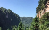 《步韵黄绍山先生《厐家山归隐》》的作家隆光诚是【大众原创诗词曲网】签约作家