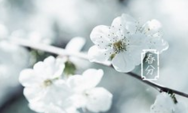 《春分逄雪》的作家平安是【大众原创诗词曲网】签约作家