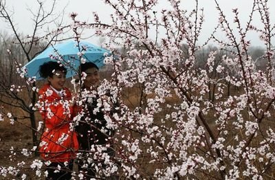 1679638408149608.jpg ab82e811209e022cd6a945290228e71c_t01d84e5b957c938e2a.jpg