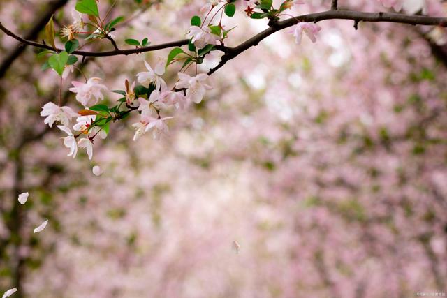 1679638425729724.jpeg 16faf024b04028bf0185cd9da9b94712_b8014a90f603738dd088be4ccc033757f919ecb9_token=0f5e09d6b66417e5f74e1c45d9780a7e.jpeg