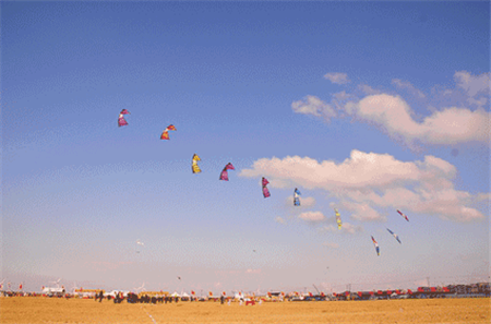b3a0966856346ae081a05b8c692e604a_800x800.png