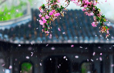 《小楼细雨》的作家杨斌是【大众原创诗词曲网】签约作家