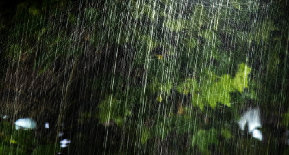 《夜雨》的作家松涛是【大众原创诗词曲网】签约作家