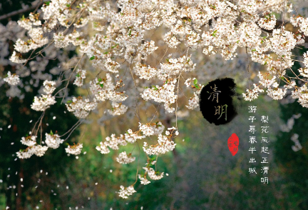 《清明》的作家樊志刚是【大众原创诗词曲网】签约作家