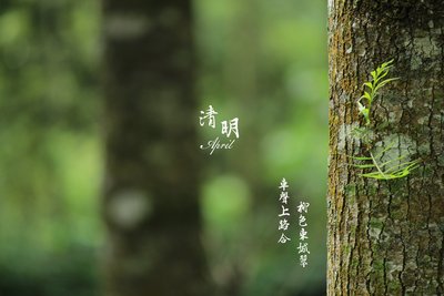 d03b379c7dbfe039df0189d3d7f57469_t01fae1b9f6dcf25a7f.jpg
