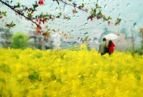 《好雨知时节》的作家张继征是【大众原创诗词曲网】签约作家
