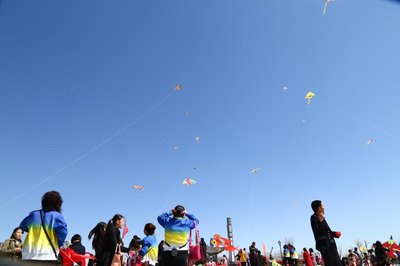 d6986001a9fd6d969e238d38637f9f68_t0189abc224083f8294.jpg