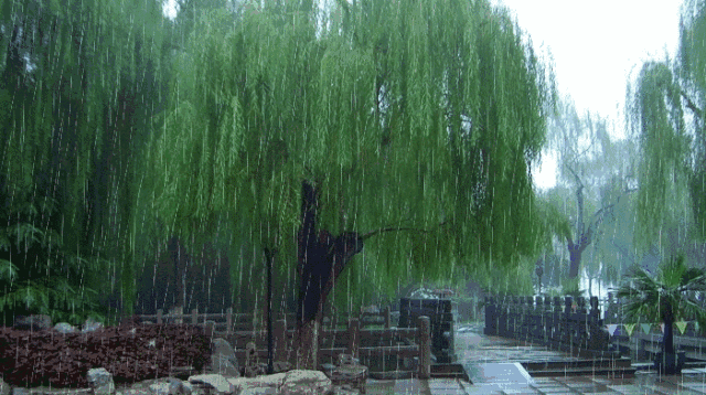 a36b7c0d47ab373493dbf6853fd0e7a0_2192b2888d2445498924755611272609.gif