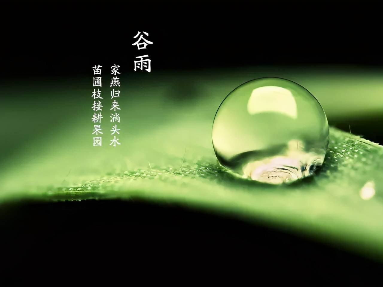 0d6b4ff5abec0340af914aaa2a00c658_ff3ef61d741f47b9b9b75fb7d5278477.jpeg