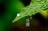 《谷雨感怀》的作家马相清是【大众原创诗词曲网】签约作家