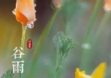 《今日谷雨》的作家崔兴运是【大众原创诗词曲网】签约作家