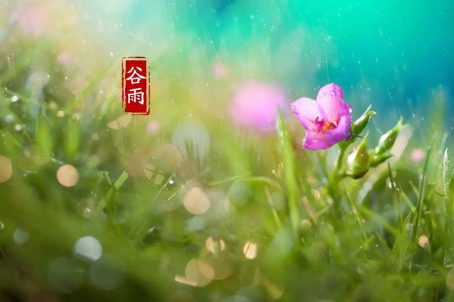 《谷雨》的作家月下听风是【大众原创诗词曲网】签约作家