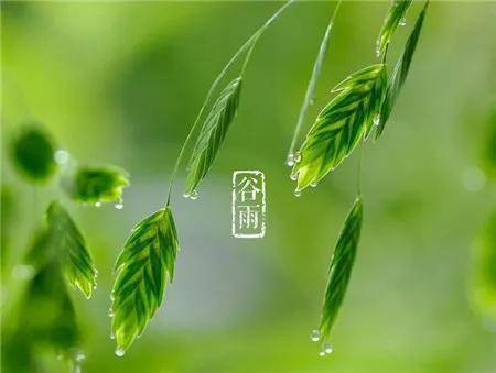 《谷雨》的作家平安是【大众原创诗词曲网】签约作家