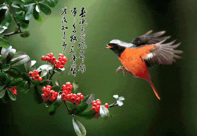 b9ed65407901da7c05e29fe5fe79b919_b2ac0614f3da48afb92f2c4eb8a1dd61.gif