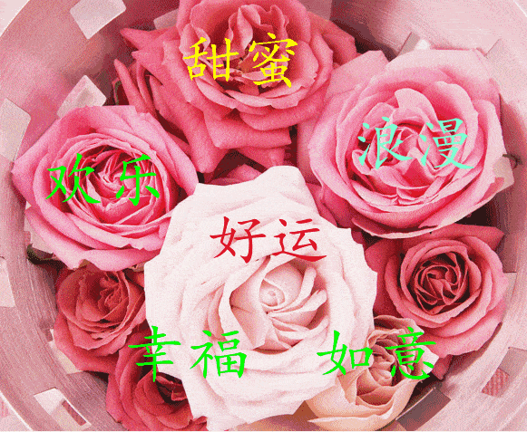 《开心快乐每一·天》的作家是【大众原创诗词曲网】签约作家