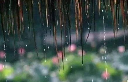 《春夜听雨​》的作者寒雨鸣丝弦是【大众原创诗词曲网】签约作家