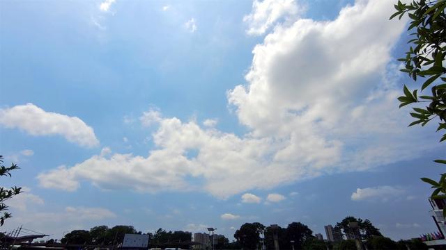 【词曲出售】：《四月飘来的云朵》请联系刘树荣