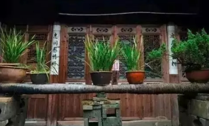 《有一种爱山高水长》的作者张忠涛是【大众原创诗词曲网】签约作家