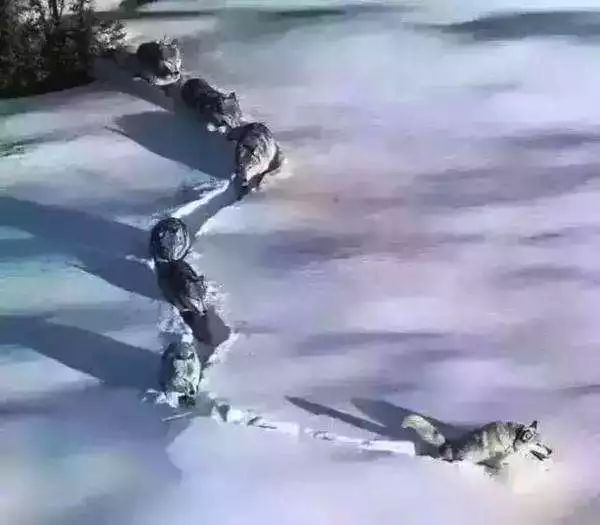 19f96f3480af935c08ed862ea1308a79_846ed7b4b1d44f018a0744aa9c668c21.jpeg