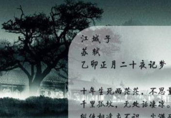 《看我的诗就看见我了》的作者李庆成是【大众原创诗词曲网】签约作家