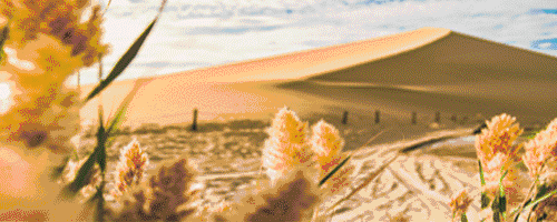 b8eb230503bfd3e03ce13d47accb084e_f6b80357f6f4471195c28f1823509813.gif