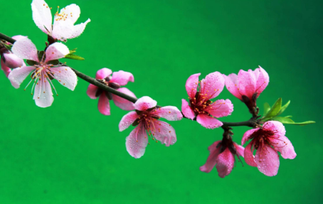 7719015a4d222a0f9b47e6ce72c31ea.png
