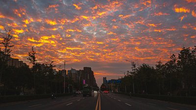 0b216e13288a78c9328186a0d8719052_t015d48e59baf1eea31.jpg