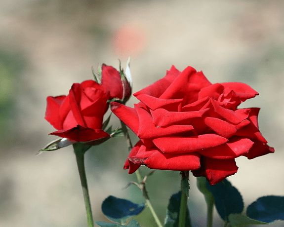 6396f469e8df0f148e6d6a69751839f2__url=http%3A%2F%2Fdingyue.ws.126.net%2F2021%2F0622%2F1cf5874dp00qv2ezm003ac000fz00csc.png&thumbnail=660x2147483647&quality=80&type=jpg.jpg