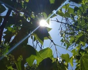 9537e36d2bb9ce7a64063fa1927a60c2_t010e5e3da9014bb40b.jpg