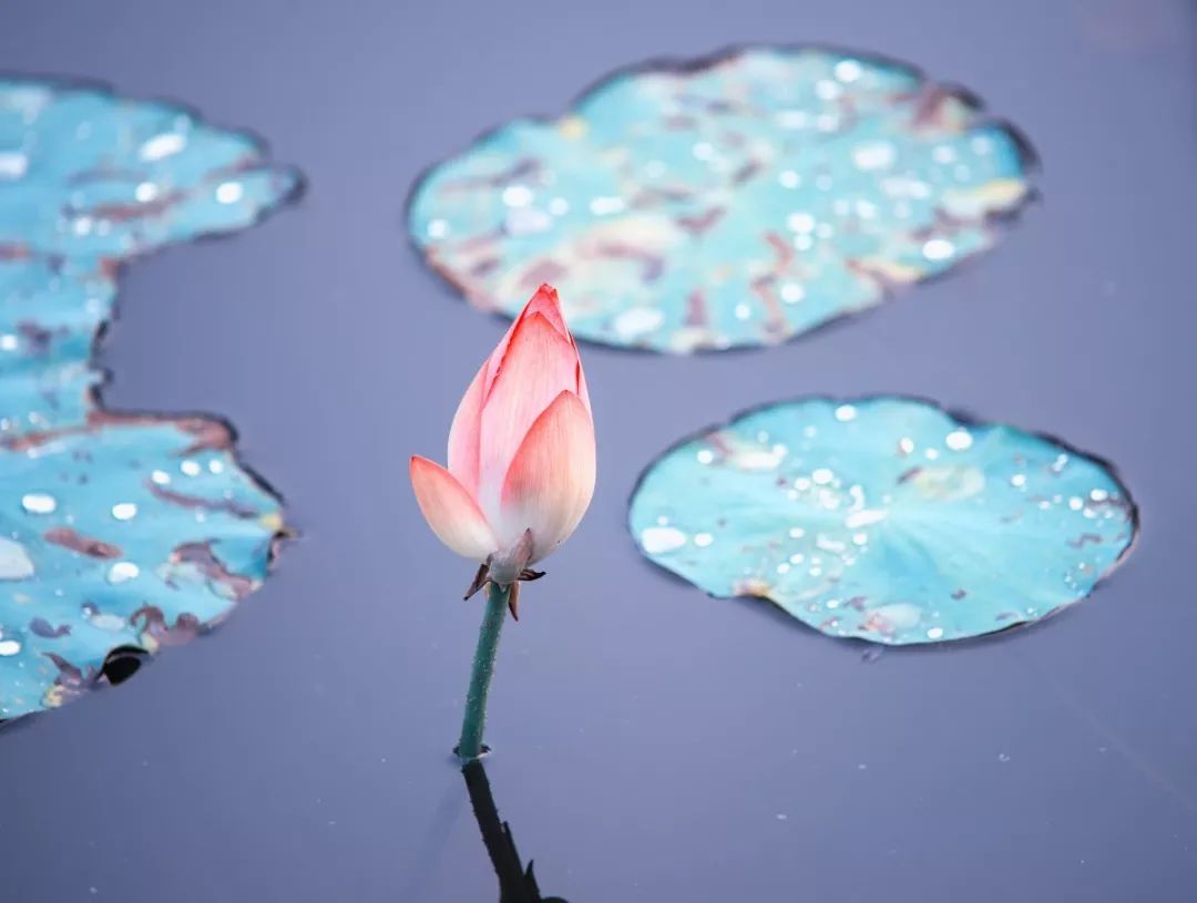 1685418038534387.jpeg 0631a41d252a63556220d627ae713214_d6f3c1d9871f42e892df1163e28c065b.jpeg