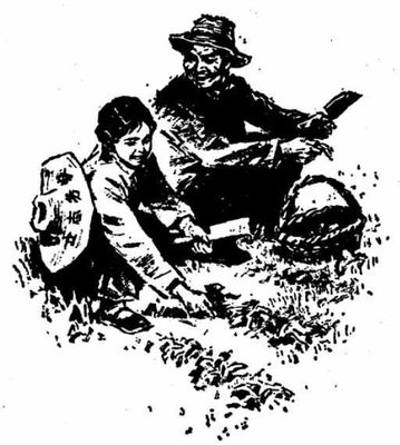 d37ee29f708bcc3c252bf003e9158f6e_t01c9225a0765ab8d89.jpg