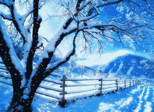 0d914ebd29f6a42342e0996086ac90ea_8415d39fe6d84d768f8494ee3e152dff.gif
