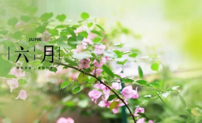 《六月的心情》的作者 ​松涛是【大众原创诗词曲网】签约作家