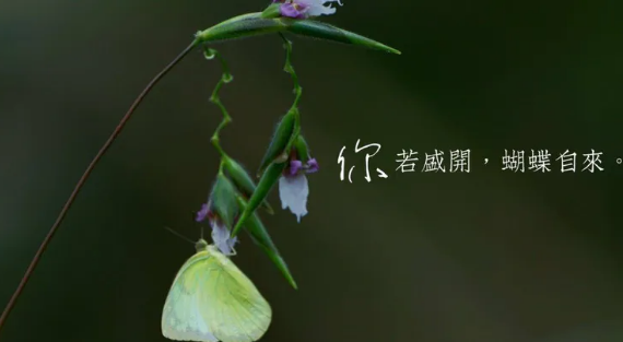 《忆那年那月》的作者平安是【大众原创诗词曲网】签约作家