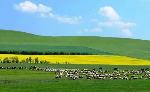 8e98ca22aa939275e0680885630bf7fc_fd5a9d2d29374d3bb7bc8f2622aee3f8.jpg