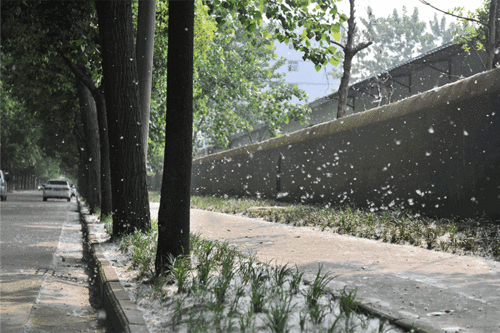 3a8dd601cf65d80fe3a3e527bdae92c6_20180807015541699.gif