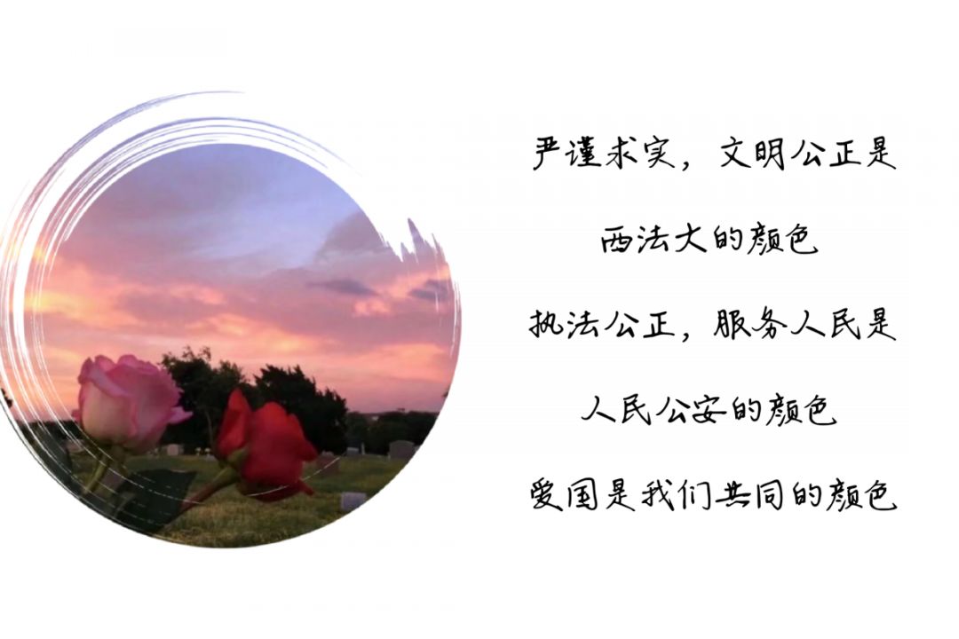 43ed874fd9ac11ab4f1711b6be1c2c22_057bedf6235942ea9e674e09231bcfa5.jpeg