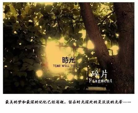 8032c6b0aaaf23fc917a1d434762ad9c_n5t3YhpoJapfQq2BBE5S1UYzREE1d9tIhkbTNmp4a=aC11490965813492.jpg