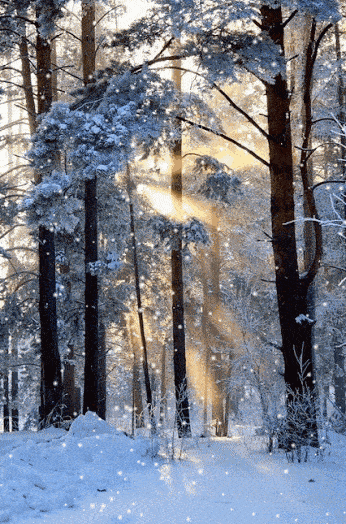 e7a03314dee8f65b8520b914fef4c09b_f38f9a7c2a374feca3de9b3aff9adbf4.gif
