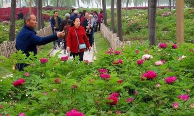 53997fdc8f16967bed83f87a36fc5cb8_t012e28fabe4c7704c9.jpg