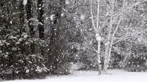 2ca47e9a4776e0a2421aa669a405d1b7_11f60004331ef5e57d66_from=pc.gif
