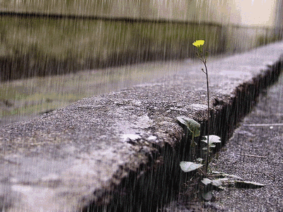 1e80036366415fcdbde958e816ca6d3e_8baeebd437224d2c87dab696e57bb4a1.gif