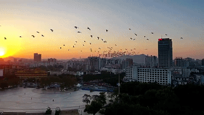 da5b5757045d8004639be1794cc3abf0_2b3a4bddg00rusxhf01bud200b4006ag00g20092.gif