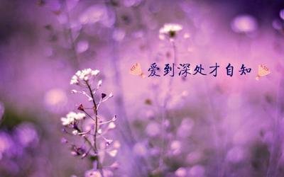 41e5937bf10e5ed8be7f8816b0e3229c_t014161e90b73c74d17.jpg