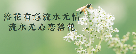 a20069b3dae8153a9a380ec3aa6cfbdd_64752511304.jpg