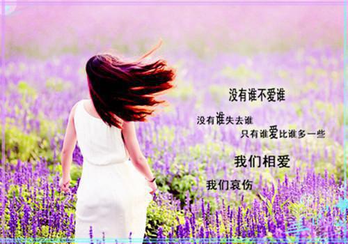 c90a58927c034a6156c4e63235042973_5dfd954a0c0bb.jpg