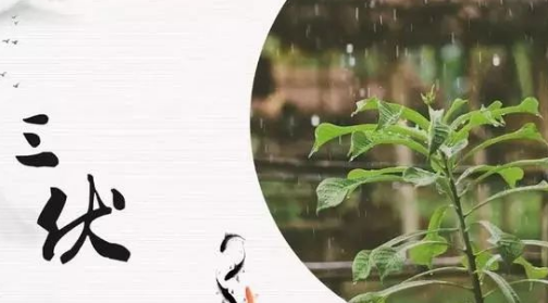 《伏天高温久旱愁吟》的作者余献增是【大众原创诗词曲网刊】签约作家