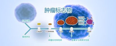 《万物激酶》的作者过子泉是【大众原创诗词曲网刊】签约作家