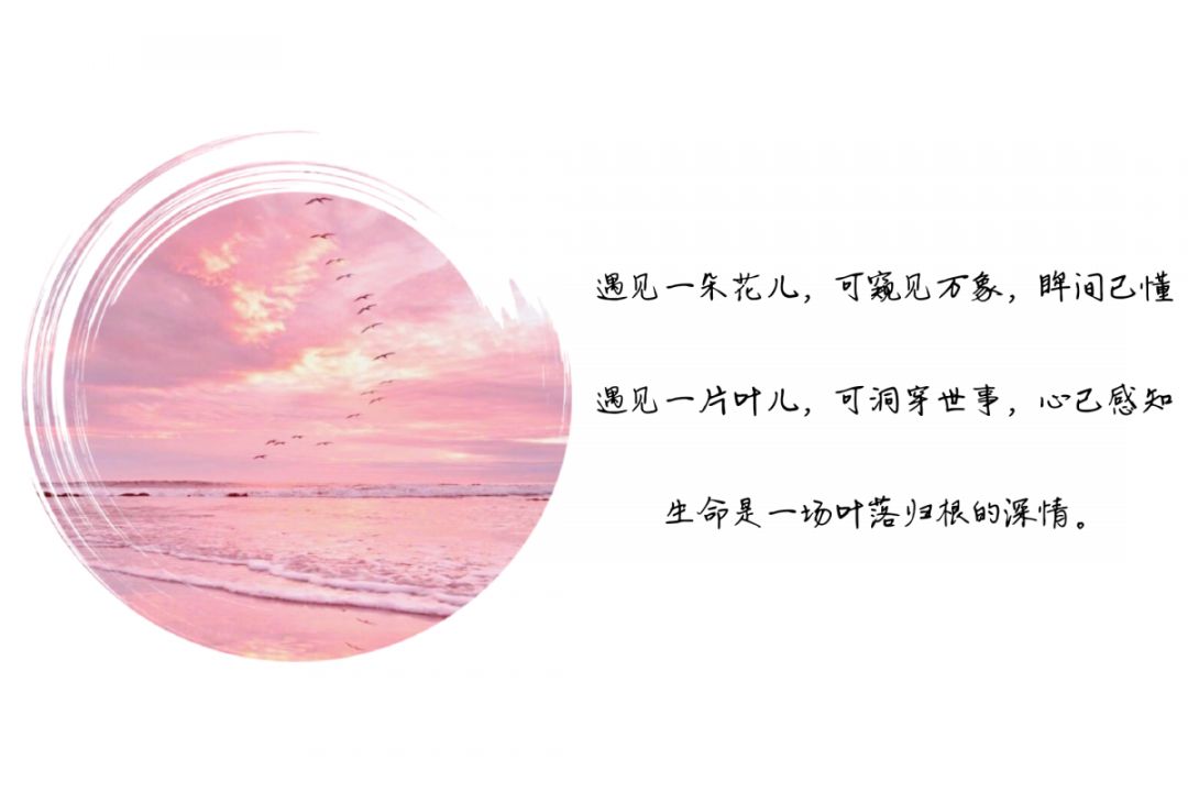e9bcb4c7c79a1d65d6d522b6cfcb03b0_c2d16843a78345cfb8a54b4bd0ac6964.jpeg